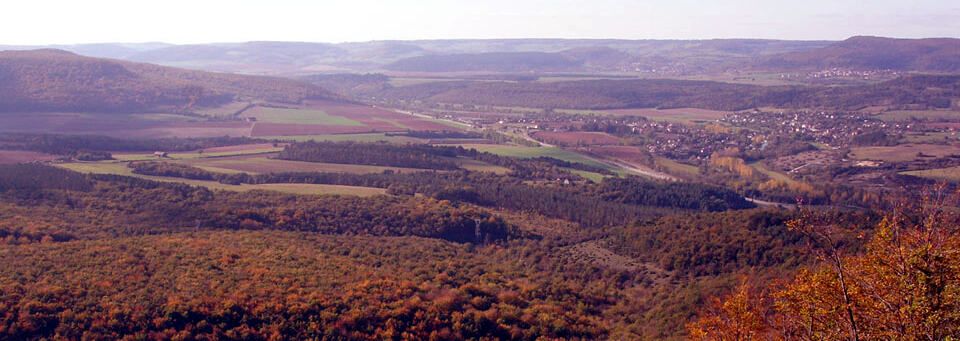 paysage autour du carmel de flavignerot