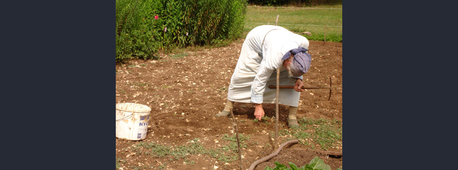 soeur qui s'occupe du potager
