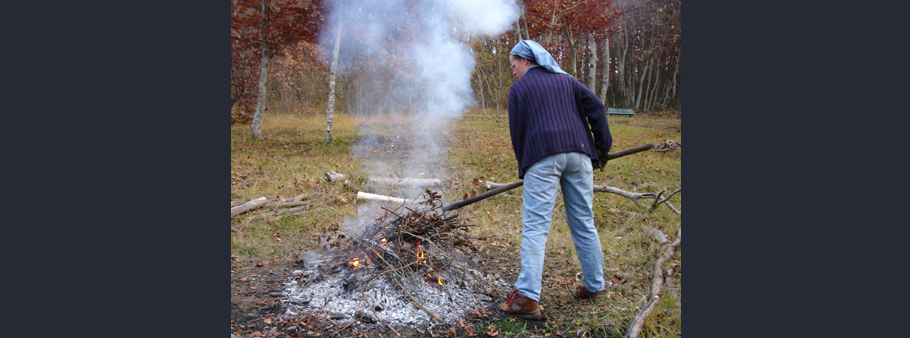 entretient du jardin