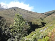 paysage d'Espagne