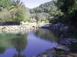 La source d'Elie